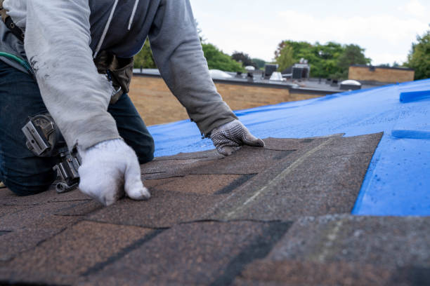 Fast & Reliable Emergency Roof Repairs in Prairie City, IA